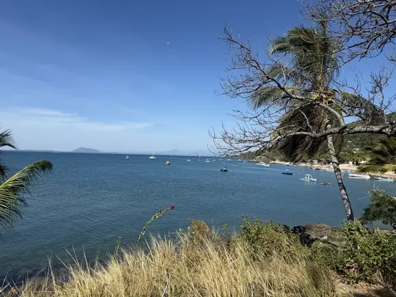 IMG 3648